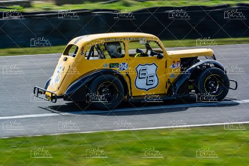 20260418-DSC_0656.webp