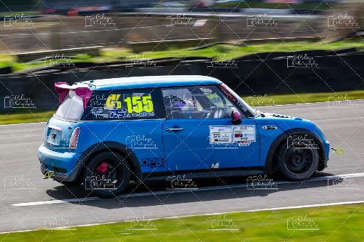 20260418-DSC_0685.webp