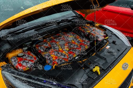 20260607-DSC_0862.webp