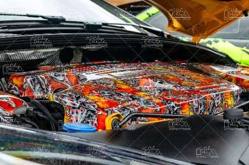 20260704-DSC_2016.webp