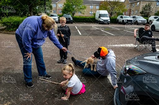 20260704-DSC_2034.webp