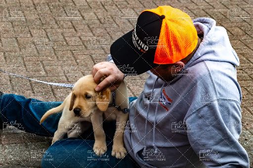 20260704-DSC_2035.webp