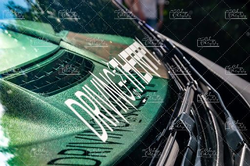 20260719-DSC_2265.webp