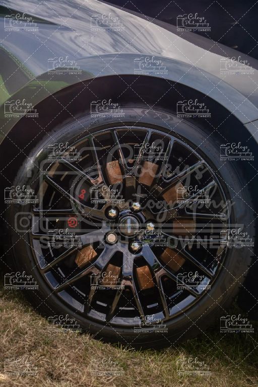 20260719-DSC_2310.webp