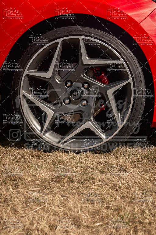 20260719-DSC_2360.webp