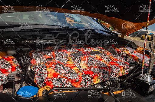 20260719-DSC_2380.webp