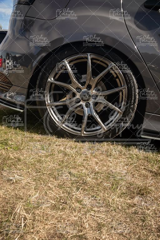 20260719-DSC_2384.webp