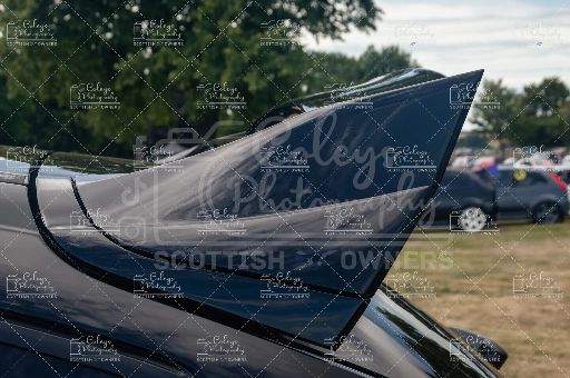 20260719-DSC_2389.webp