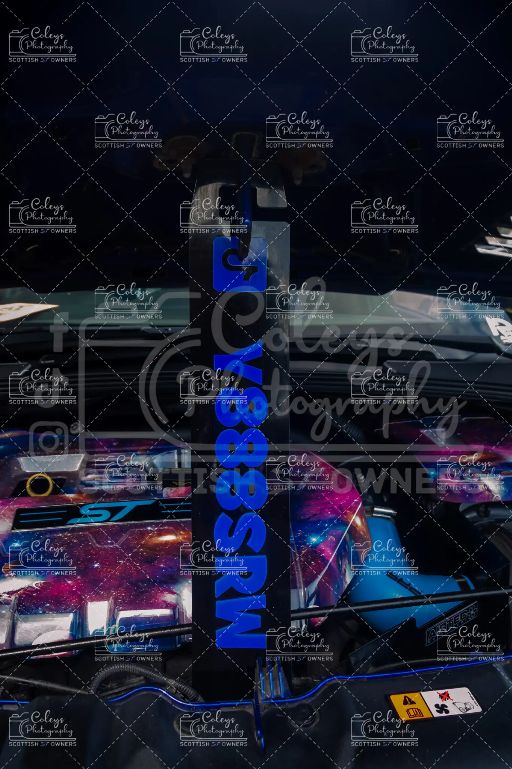 20260719-DSC_2392.webp