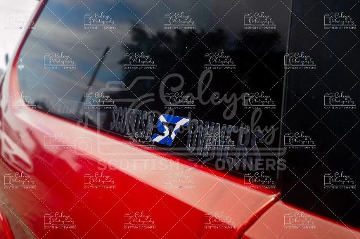20260719-DSC_2405.webp