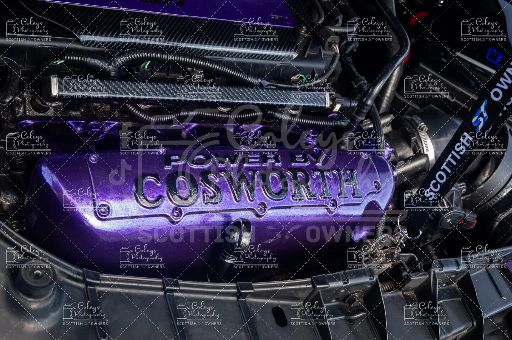 20260719-DSC_2421.webp