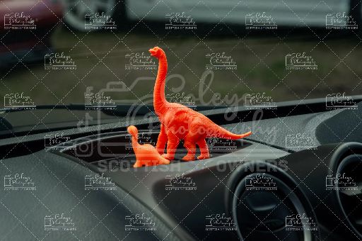 20260719-DSC_2434.webp