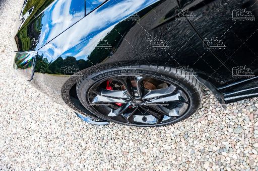 20260731-DSC_3074.webp
