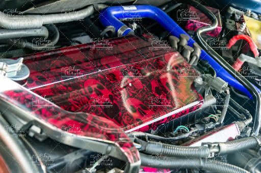 20260802-DSC_3262.webp
