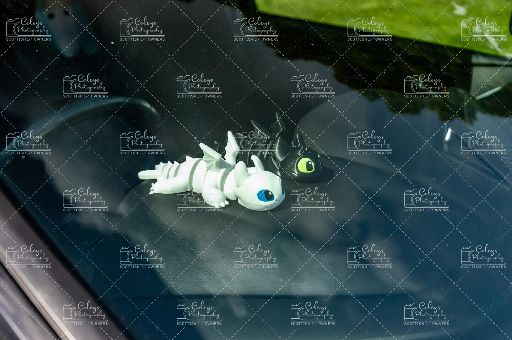 20260802-DSC_3280.webp