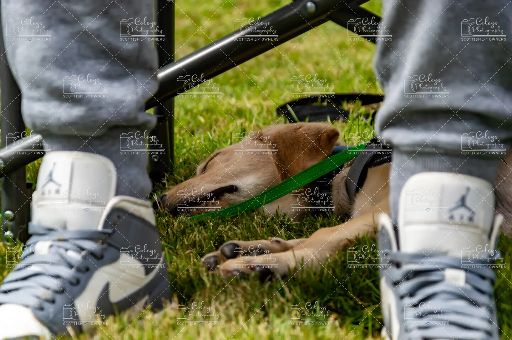 20260802-DSC_3301.webp